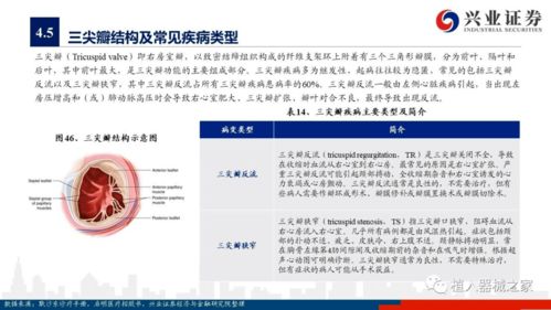 深度 心脏瓣膜产品研发与市场研究报告